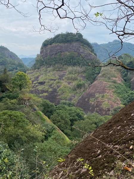 20231025 小三通八閩山海遊08：武夷山，天遊峰（AA