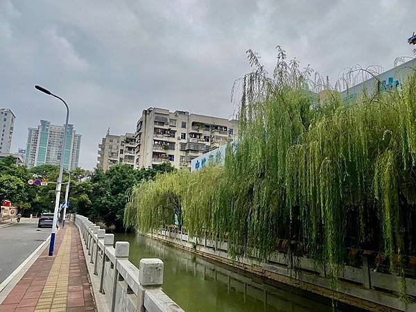 20231027 小三通八閩山海遊13：福道森林步道踏查行（