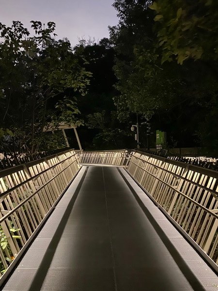20231027 小三通八閩山海遊15：福道森林步道最美時刻