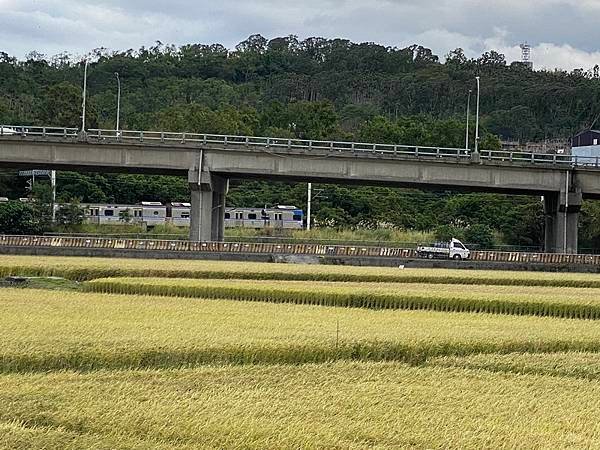 20231122~29 背包族海岸山脈四橫貫徒步行