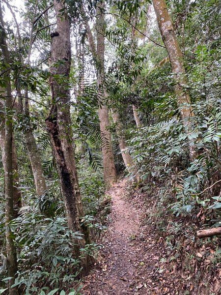 20231223 谷關八雄，裡冷進出Ｏ繞唐麻丹山、蝴蝶谷