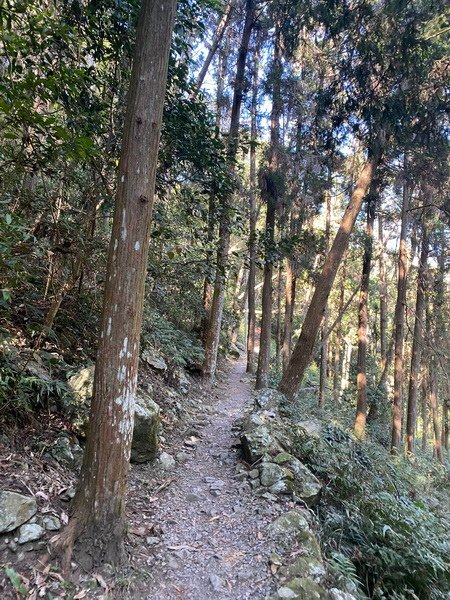 20240114 谷關八雄八仙山，順登佳保台山，兼記一隻台灣