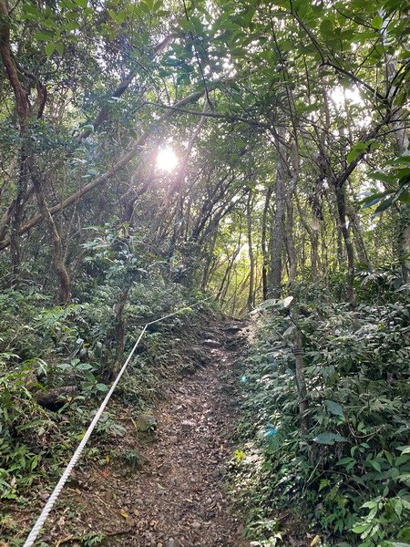 20240120 雙流國家森林遊樂區的帽子山步道與白榕步道