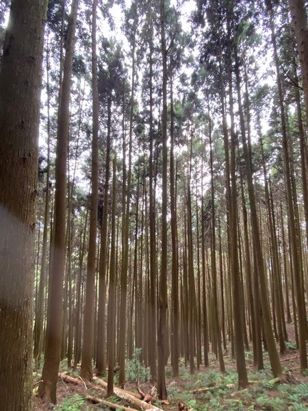 20240316 民都有山，順遊清泉環繞