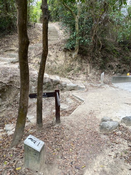 20240325 香港麥理浩徑100K徒步自助行第十段，田夫