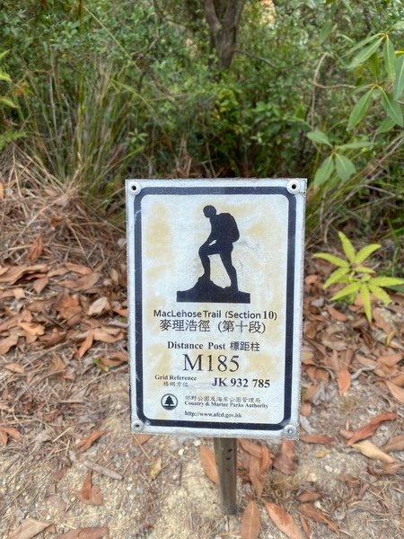 20240325 香港麥理浩徑100K徒步自助行第十段，田夫