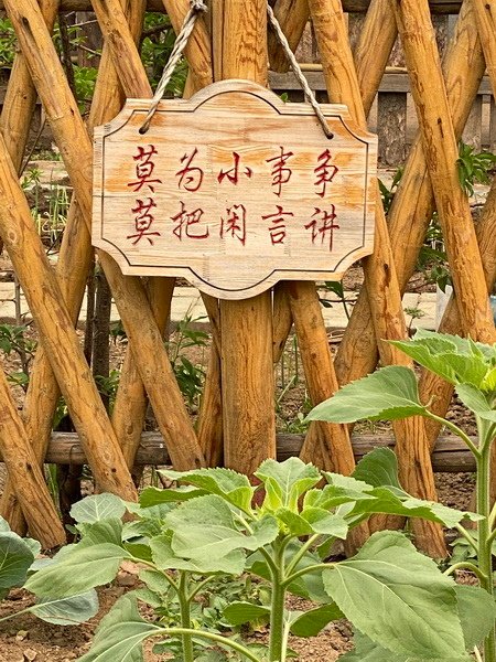 20240703~04 內蒙東北國際線10：漠河縣（AAAA