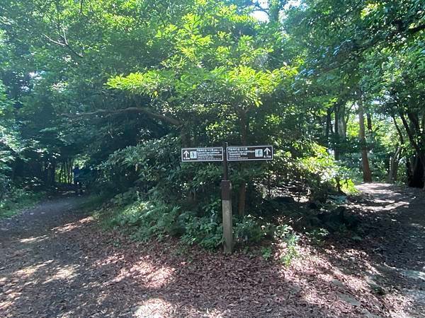 20240716~21 登峰造極富士山 浪跡泡湯周邊行 I