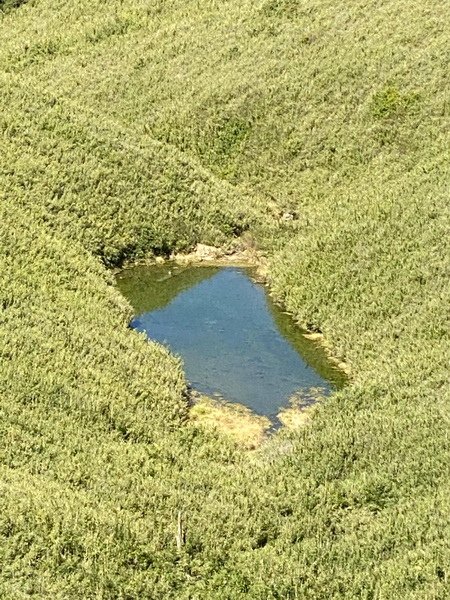 20240824 合歡北峰秘境行：台灣池、俯瞰環山部落、小溪