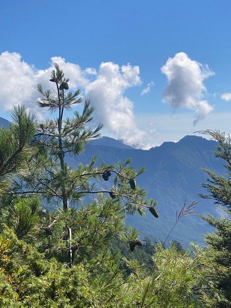 20240824 合歡北峰秘境行：台灣池、俯瞰環山部落、小溪