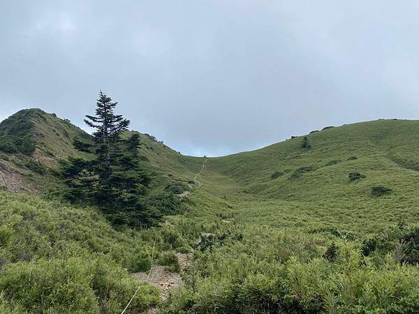 20240824 合歡北峰秘境行：台灣池、俯瞰環山部落、小溪