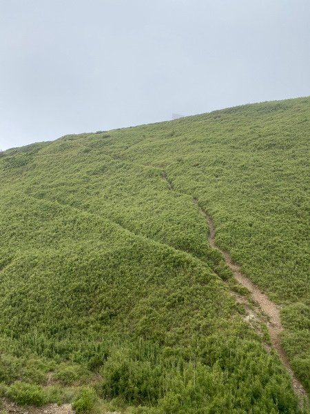 20240824 合歡北峰秘境行：台灣池、俯瞰環山部落、小溪