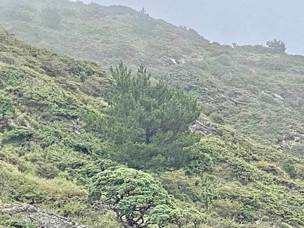 20240824 合歡北峰秘境行：台灣池、俯瞰環山部落、小溪