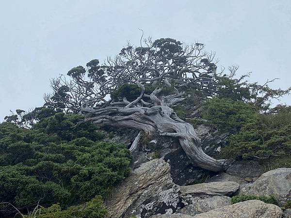 20240824 合歡北峰秘境行：台灣池、俯瞰環山部落、小溪