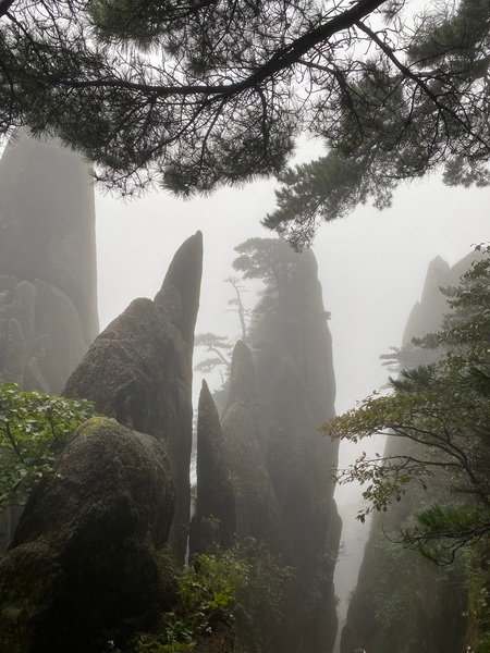 20240927 拿捏黃山徒步行（下）A進B出天都峰