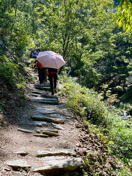 20240928 穿越徽杭古道 探索徽州風采