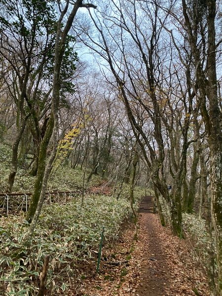 20241122 韓國最高峰漢拏山，觀音寺上，城板岳下