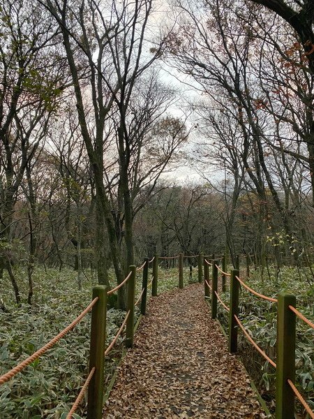 20241122 韓國最高峰漢拏山，觀音寺上，城板岳下