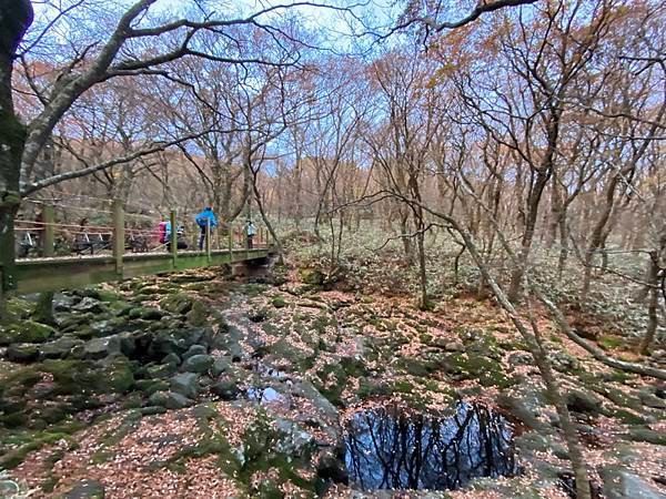 20241122 韓國最高峰漢拏山，觀音寺上，城板岳下