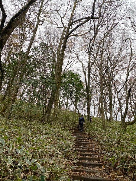 20241122 韓國最高峰漢拏山，觀音寺上，城板岳下