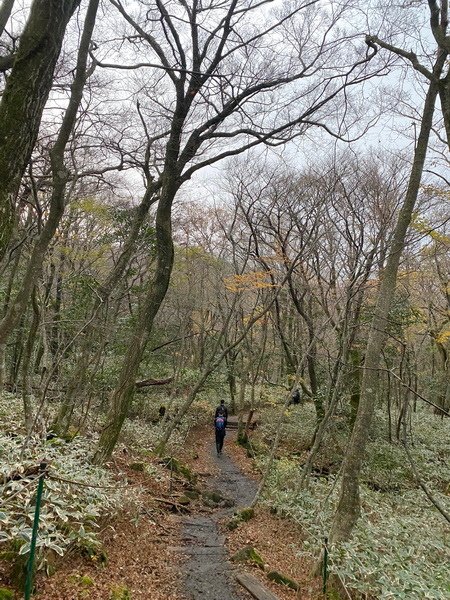 20241122 韓國最高峰漢拏山，觀音寺上，城板岳下