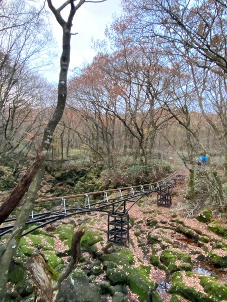 20241122 韓國最高峰漢拏山，觀音寺上，城板岳下