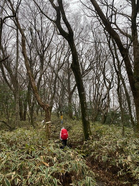 20241122 韓國最高峰漢拏山，觀音寺上，城板岳下