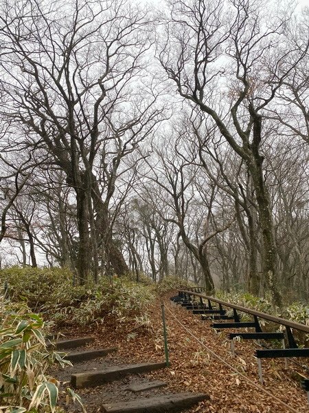 20241122 韓國最高峰漢拏山，觀音寺上，城板岳下