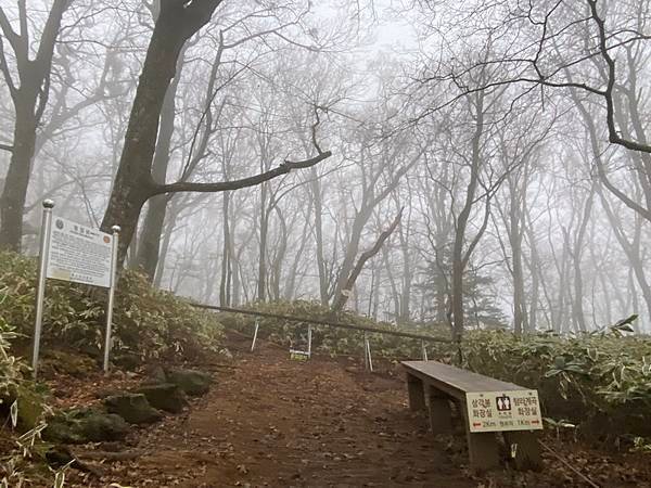 20241122 韓國最高峰漢拏山，觀音寺上，城板岳下