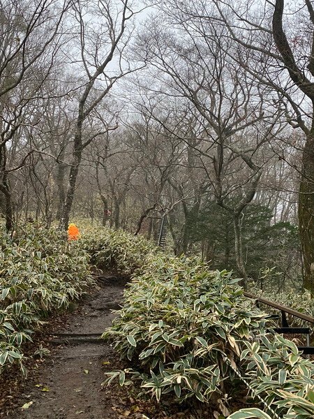 20241122 韓國最高峰漢拏山，觀音寺上，城板岳下