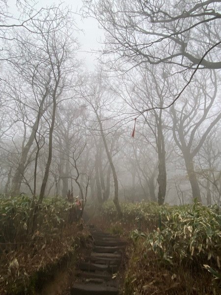 20241122 韓國最高峰漢拏山，觀音寺上，城板岳下