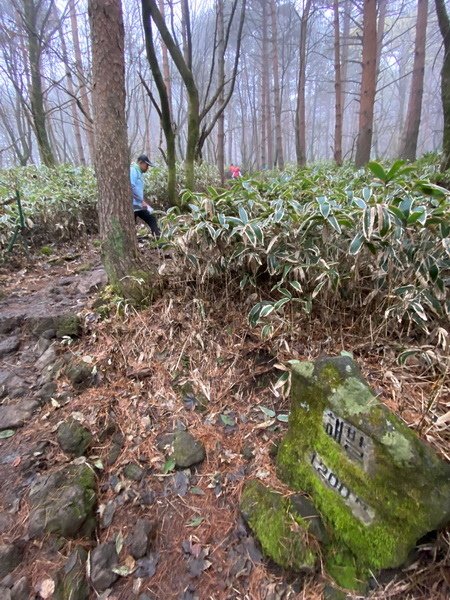 20241122 韓國最高峰漢拏山，觀音寺上，城板岳下