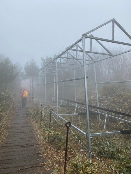 20241122 韓國最高峰漢拏山，觀音寺上，城板岳下