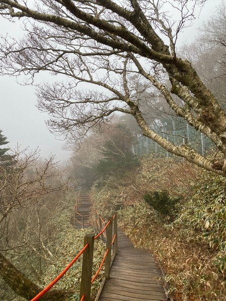 20241122 韓國最高峰漢拏山，觀音寺上，城板岳下