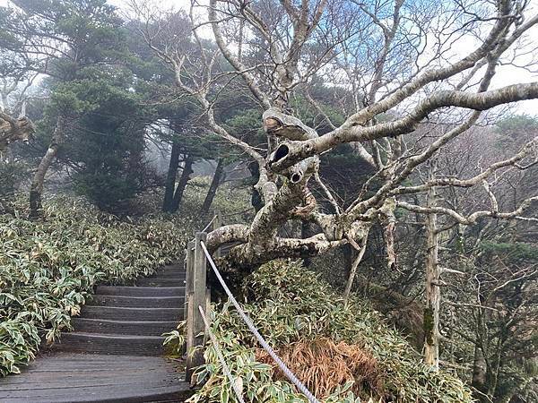 20241122 韓國最高峰漢拏山，觀音寺上，城板岳下