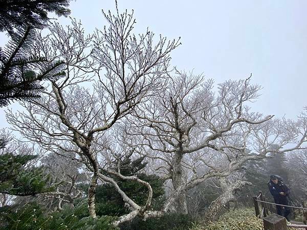 20241122 韓國最高峰漢拏山，觀音寺上，城板岳下