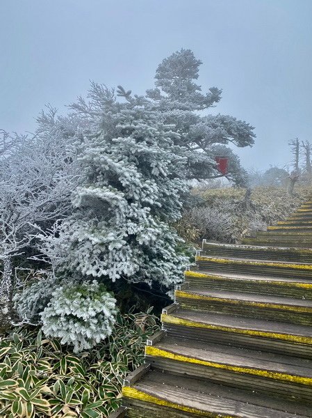 20241122 韓國最高峰漢拏山，觀音寺上，城板岳下