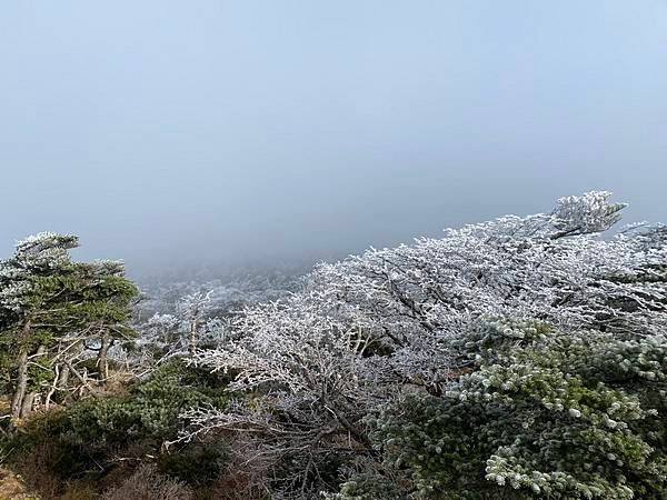 20241122 韓國最高峰漢拏山，觀音寺上，城板岳下