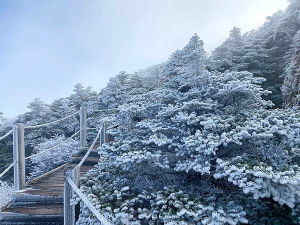 20241122 韓國最高峰漢拏山，觀音寺上，城板岳下