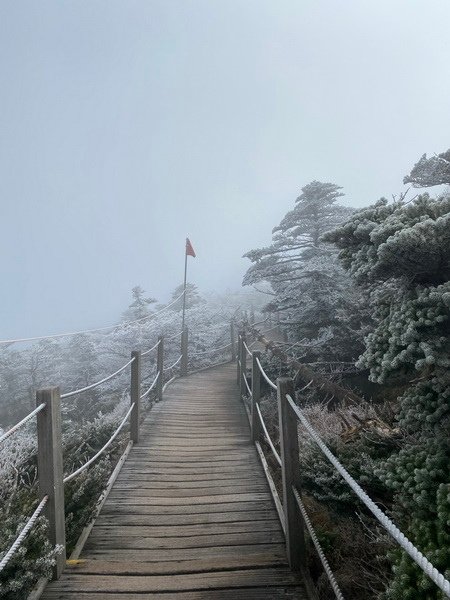 20241122 韓國最高峰漢拏山，觀音寺上，城板岳下