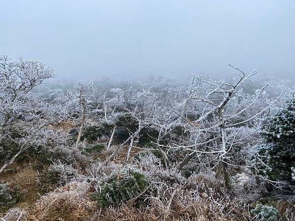 20241122 韓國最高峰漢拏山，觀音寺上，城板岳下