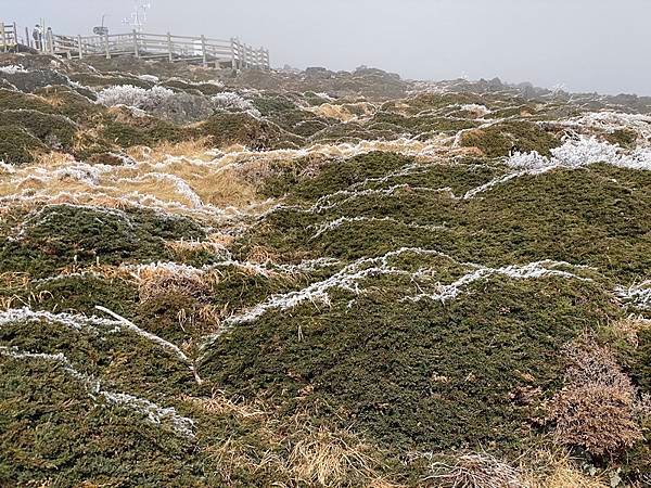 20241122 韓國最高峰漢拏山，觀音寺上，城板岳下