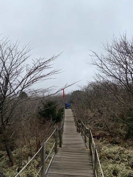 20241122 韓國最高峰漢拏山，觀音寺上，城板岳下