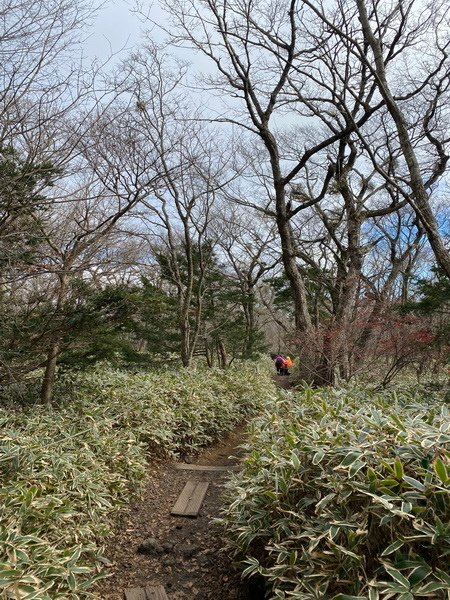 20241122 韓國最高峰漢拏山，觀音寺上，城板岳下