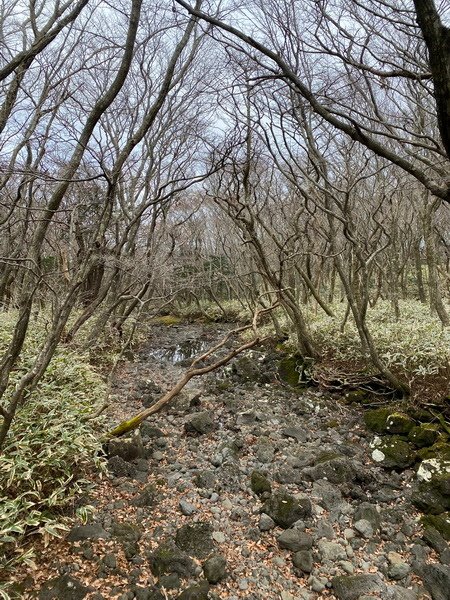 20241122 韓國最高峰漢拏山，觀音寺上，城板岳下