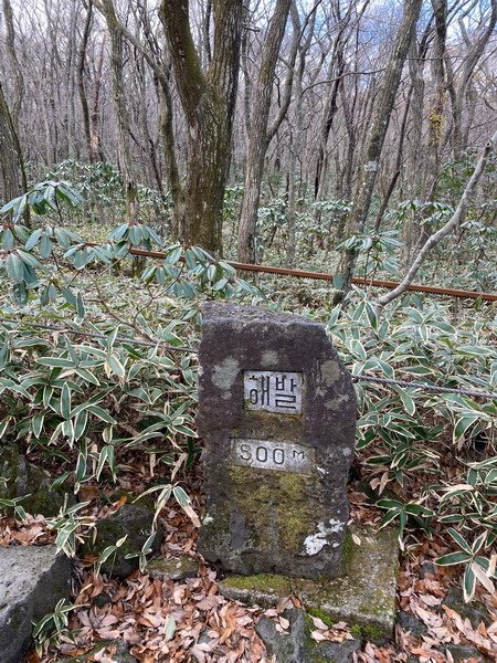 20241122 韓國最高峰漢拏山，觀音寺上，城板岳下