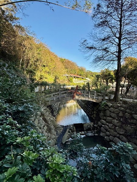 20250104 九芎湖觀賞落羽松、峨眉湖環走十二寮步道