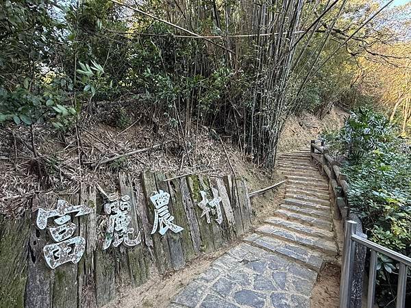 20250104 九芎湖觀賞落羽松、峨眉湖環走十二寮步道