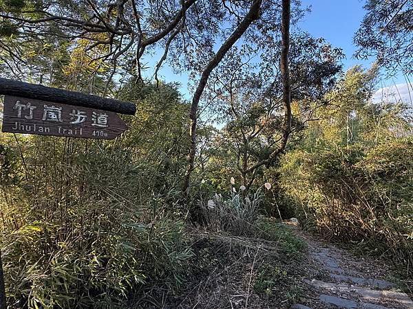 20250104 九芎湖觀賞落羽松、峨眉湖環走十二寮步道