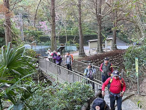 20250104 九芎湖觀賞落羽松、峨眉湖環走十二寮步道